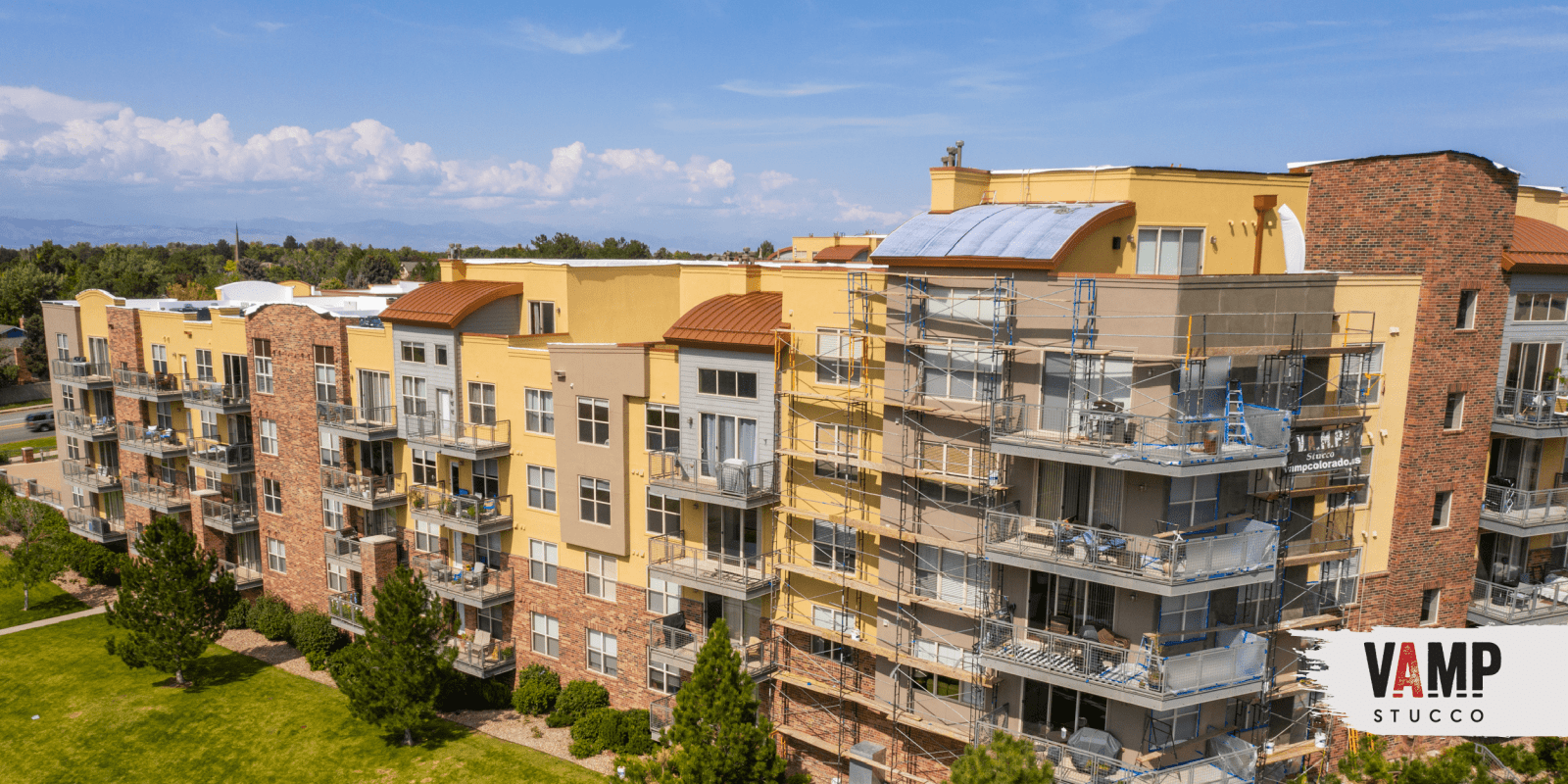 Vamp Blogs Feb 2025-Blog 2 mid-min